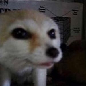 Meet your Posher, Miss gorilla grip